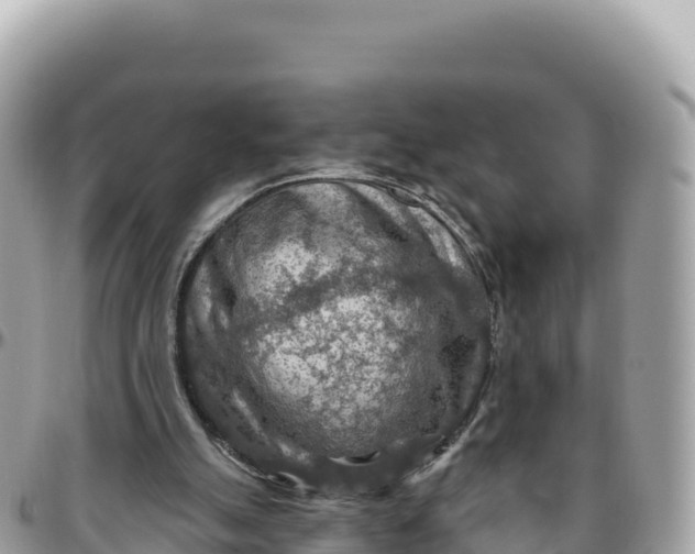 X0000095880055200801251149