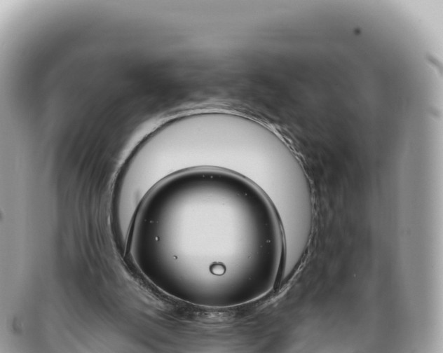 X0000095880056200801251149