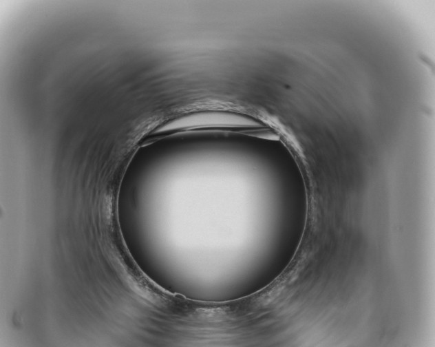 X0000095880057200801251149