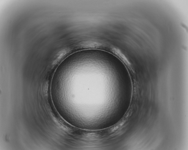 X0000095880058200801251149