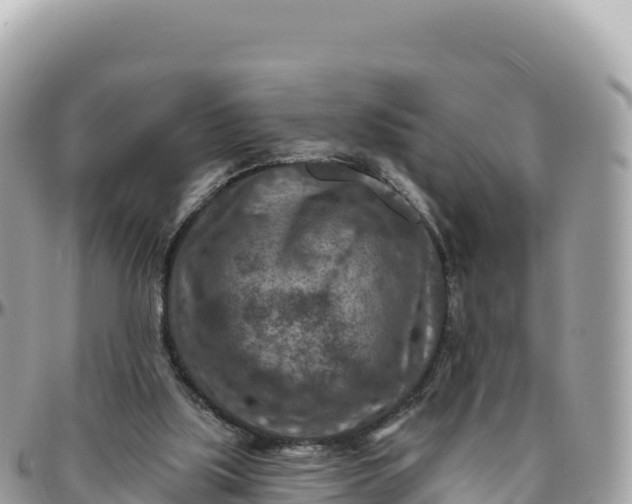 X0000095880059200801251149