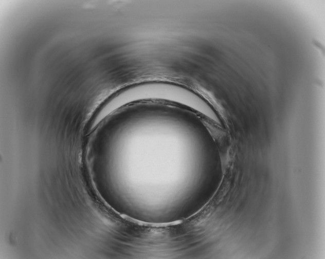 X0000095880060200801251149