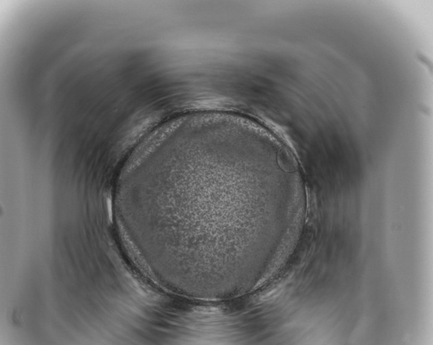 X0000095880061200801251149