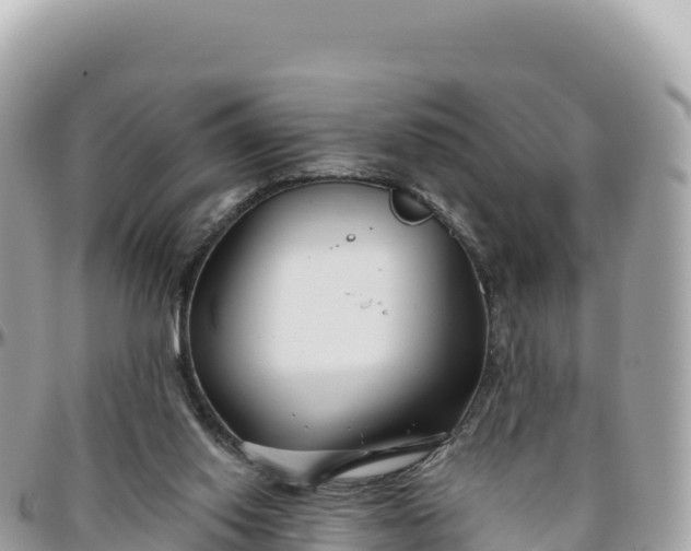 X0000095880062200801251149