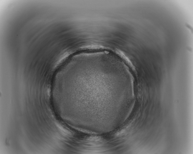 X0000095880063200801251149