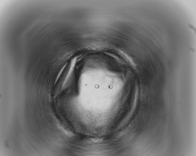 X0000095880065200801251149