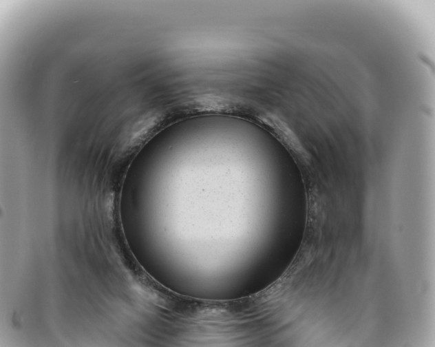 X0000095880066200801251149