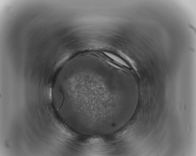 X0000095880067200801251149