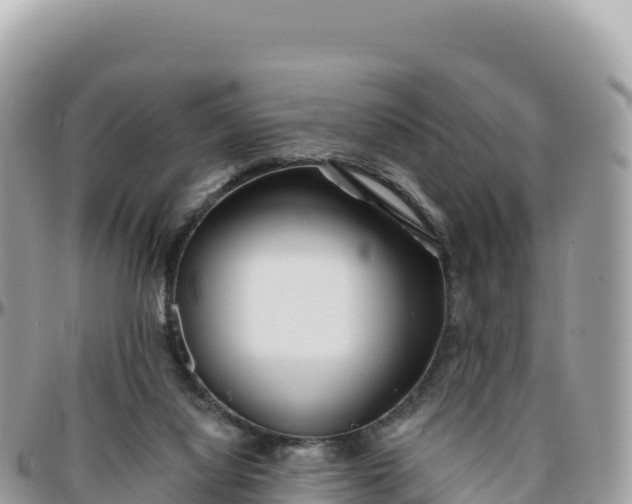 X0000095880068200801251149