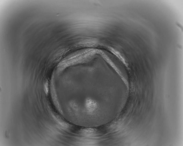 X0000095880069200801251149