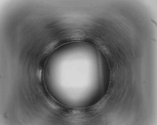 X0000095880070200801251149