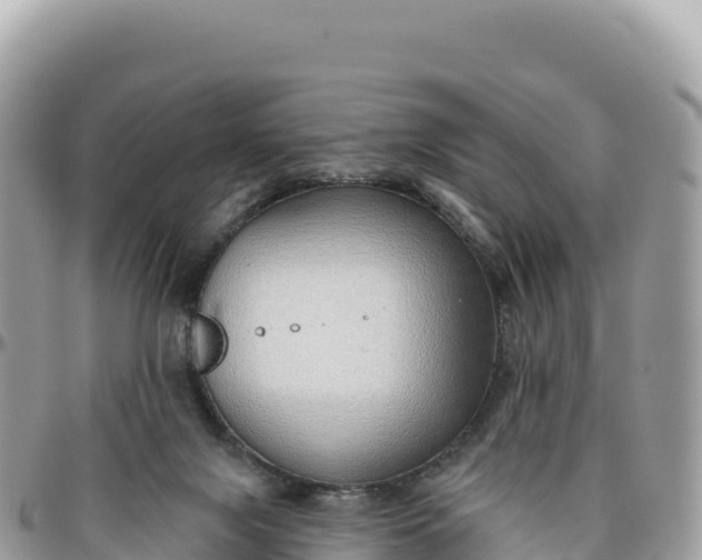 X0000095880071200801251149