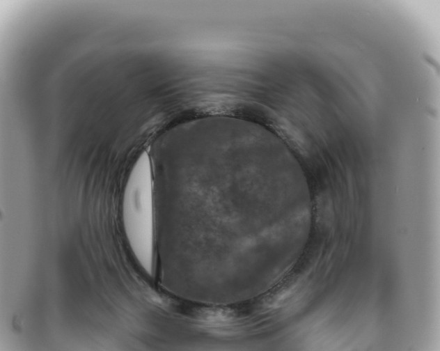 X0000095880073200801251149