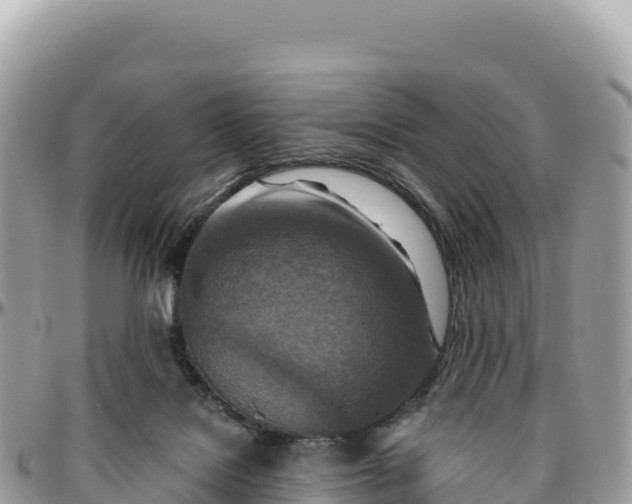 X0000095880076200801251150