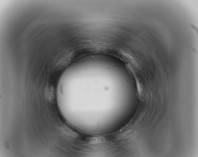 X0000095880077200801251150