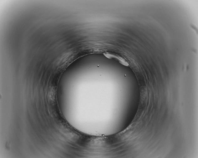 X0000095880078200801251150