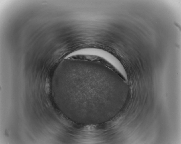 X0000095880080200801251150