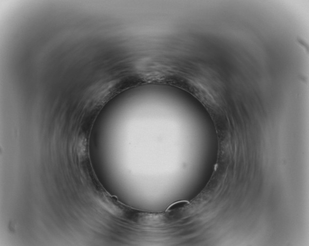 X0000095880081200801251150