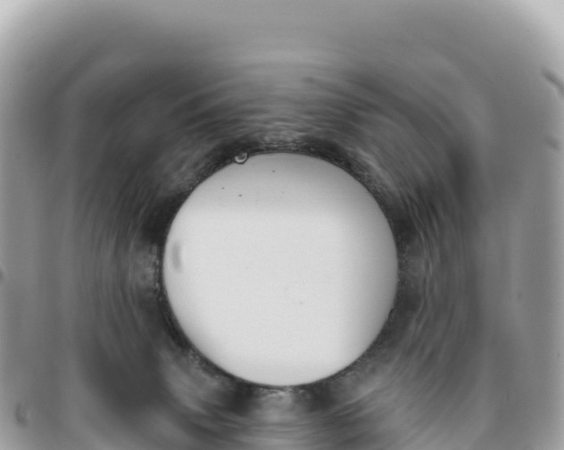 X0000095880083200801251150