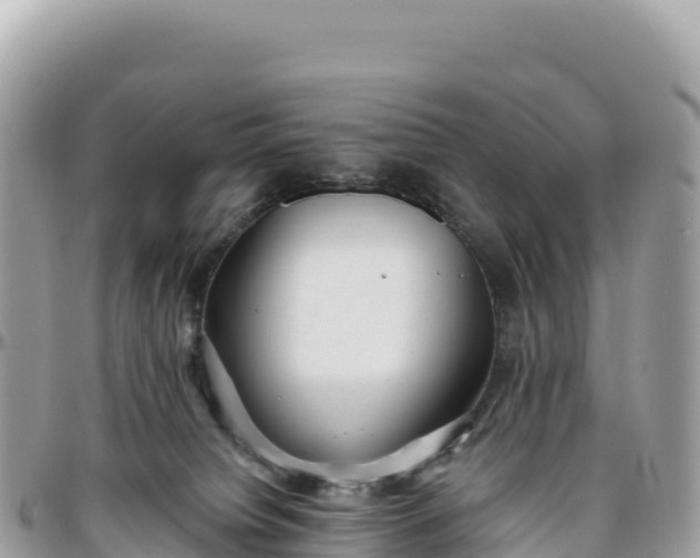 X0000095880084200801251150