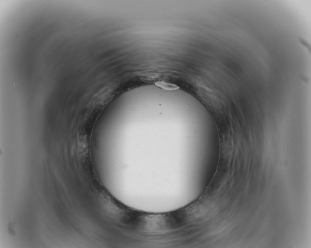 X0000095880085200801251150