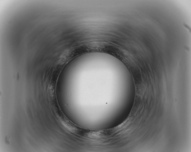 X0000095880086200801251150