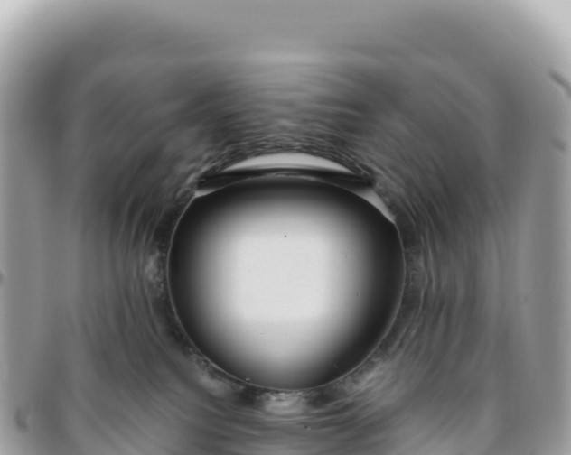 X0000095880088200801251150