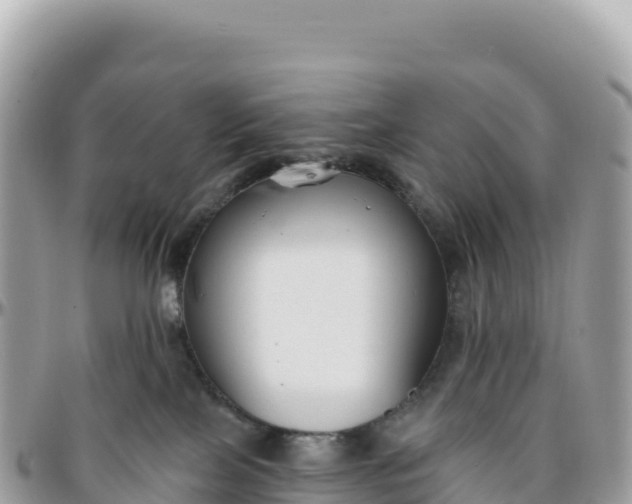 X0000095880089200801251150