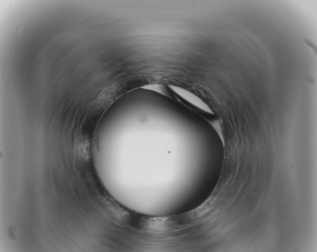 X0000095880090200801251150