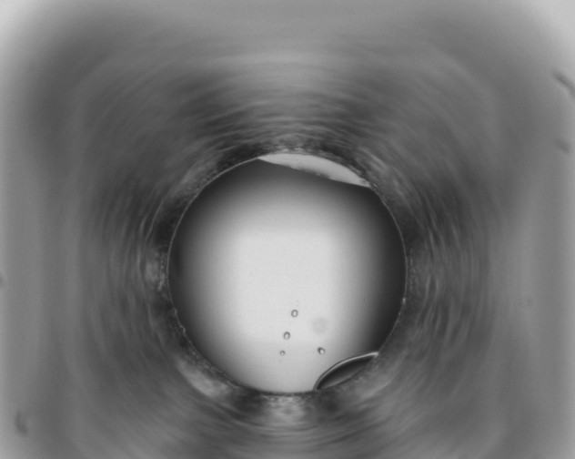 X0000095880091200801251150