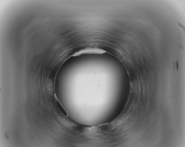 X0000095880092200801251150