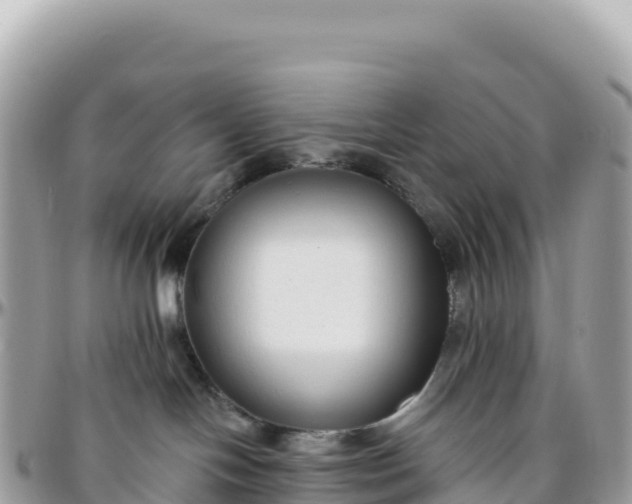 X0000095880094200801251150