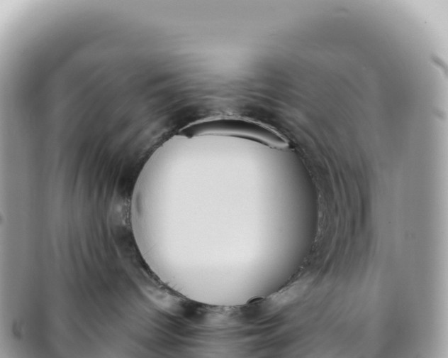 X0000095880096200801251150