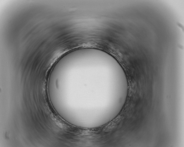 X0000095880098200801251149