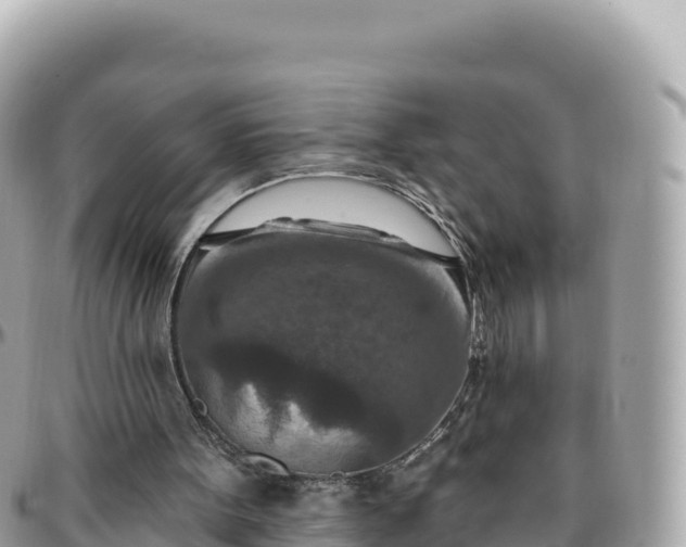 X0000095880099200801251149