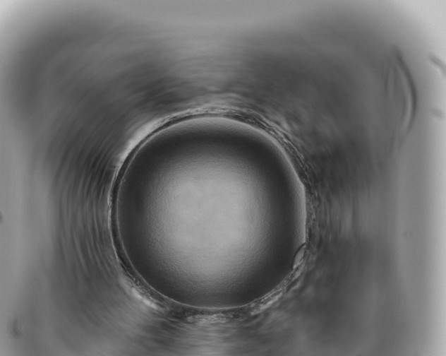 X0000095880100200801251149