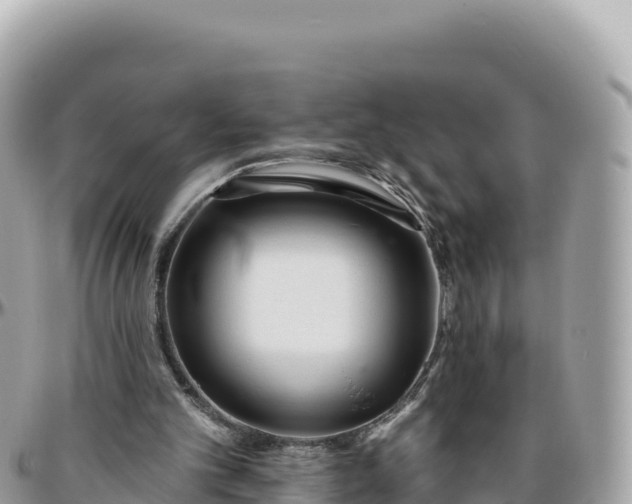 X0000095880101200801251149