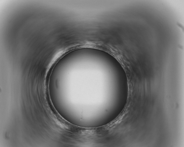 X0000095880102200801251149