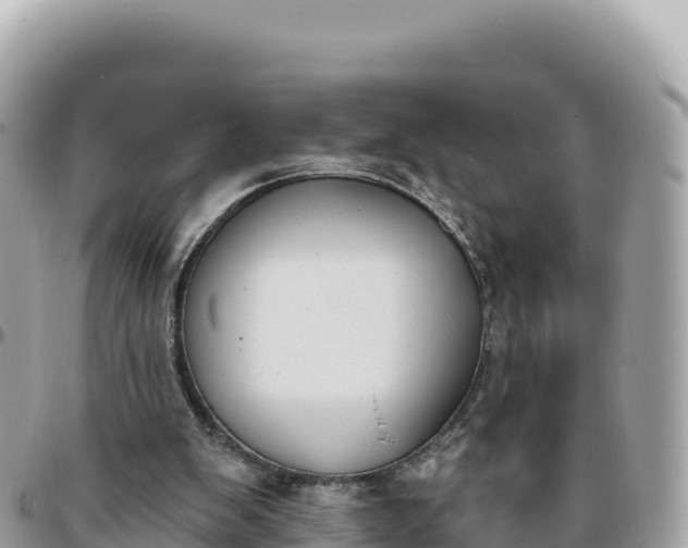 X0000095880103200801251149