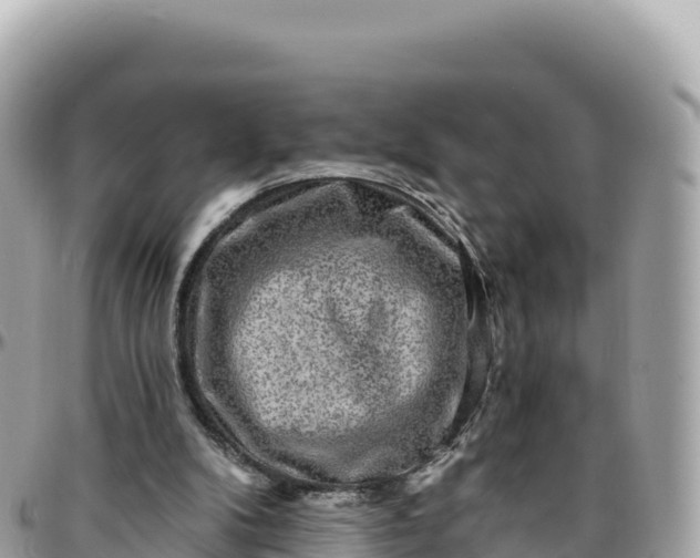 X0000095880104200801251149