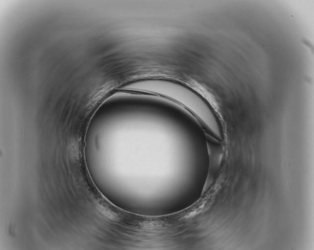 X0000095880105200801251149