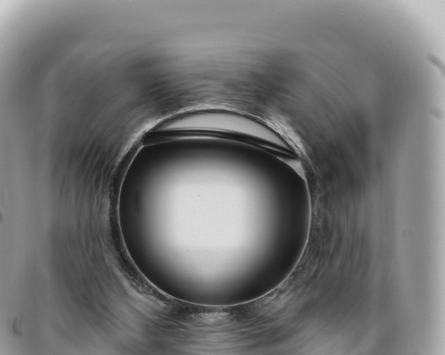 X0000095880108200801251149