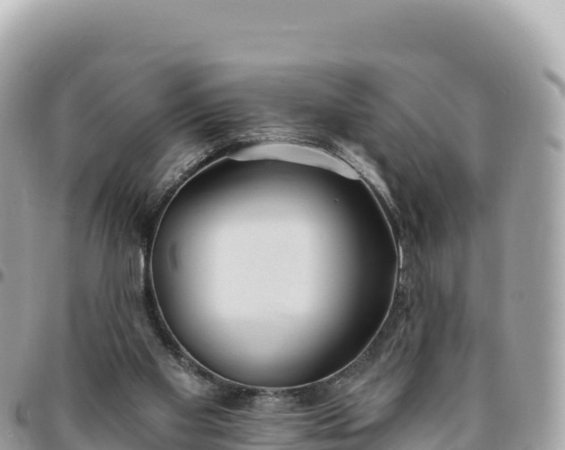 X0000095880109200801251149