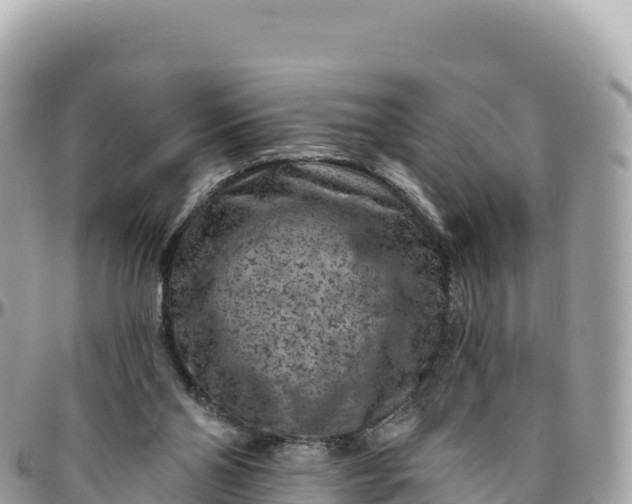 X0000095880110200801251149