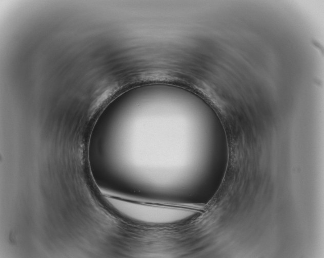 X0000095880111200801251149