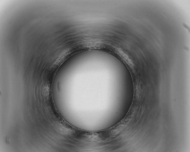 X0000095880113200801251149