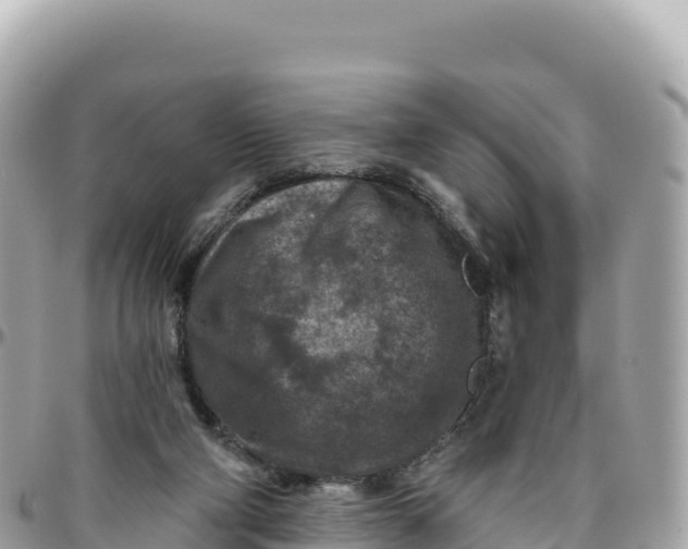 X0000095880114200801251149