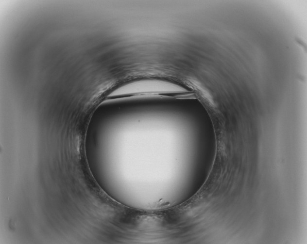 X0000095880115200801251149