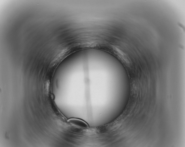 X0000095880118200801251149