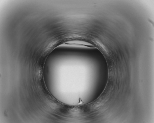 X0000095880119200801251149